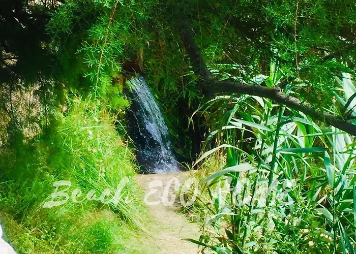 Alojamento de Acomodação e Pequeno-almoço Eco Penthouse